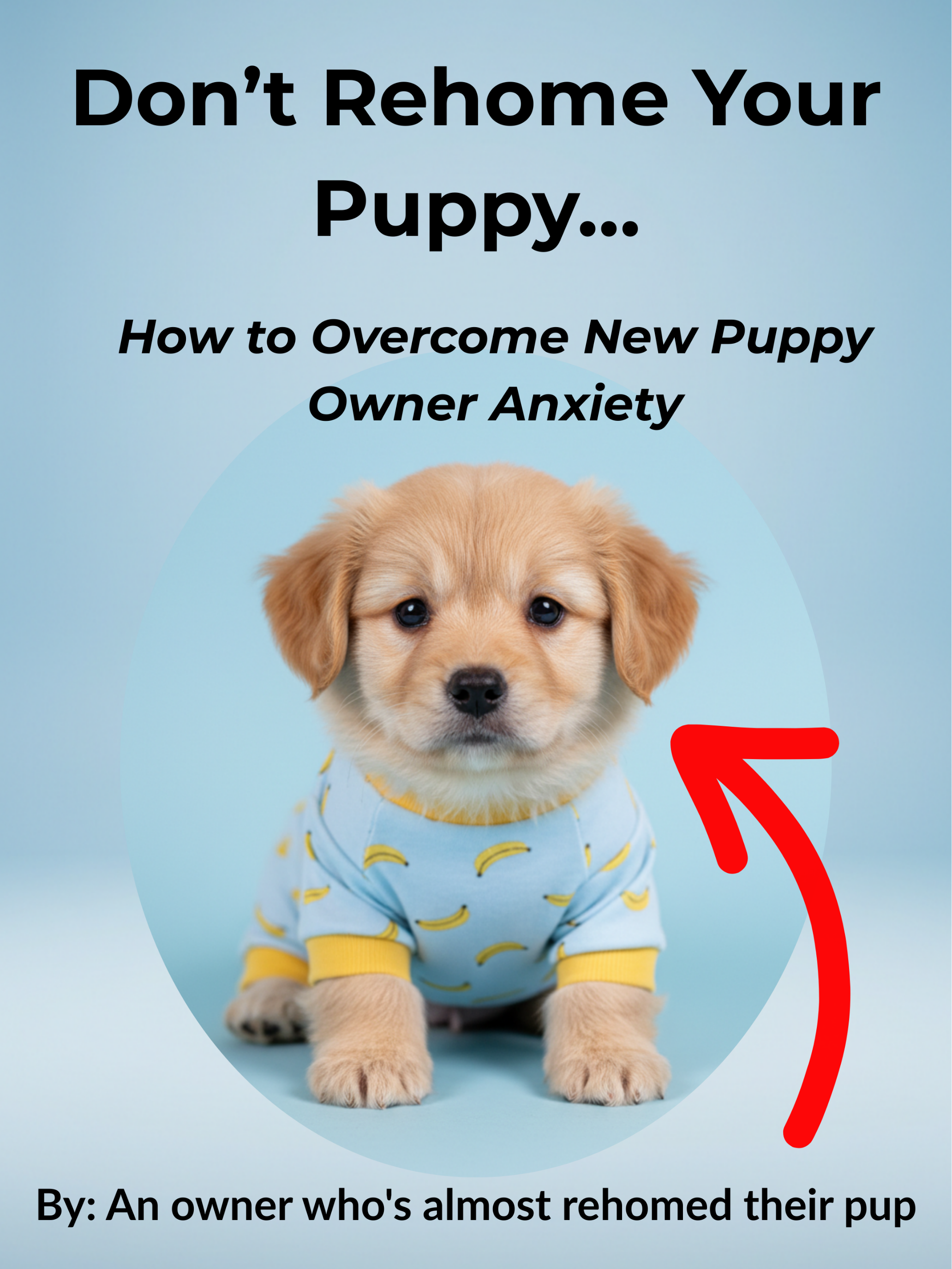Don't Rehome Your Puppy: How to Overcome New Puppy Owner Nerves
